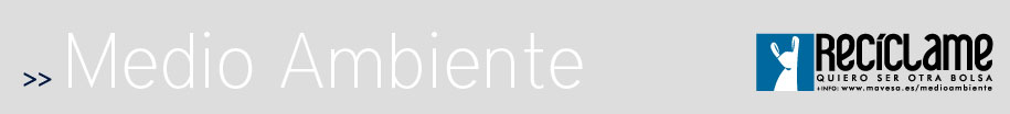 Contenido